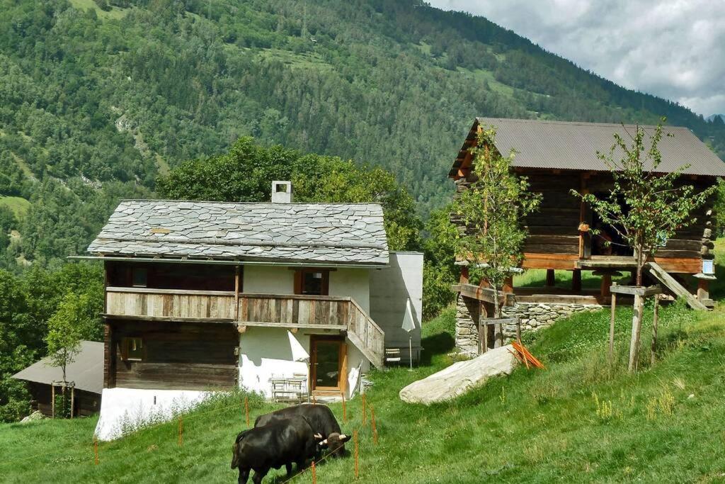Appartement "Le Ver Luisant" A Saint-Martin, Val D'Herens, Valais Kültér fotó